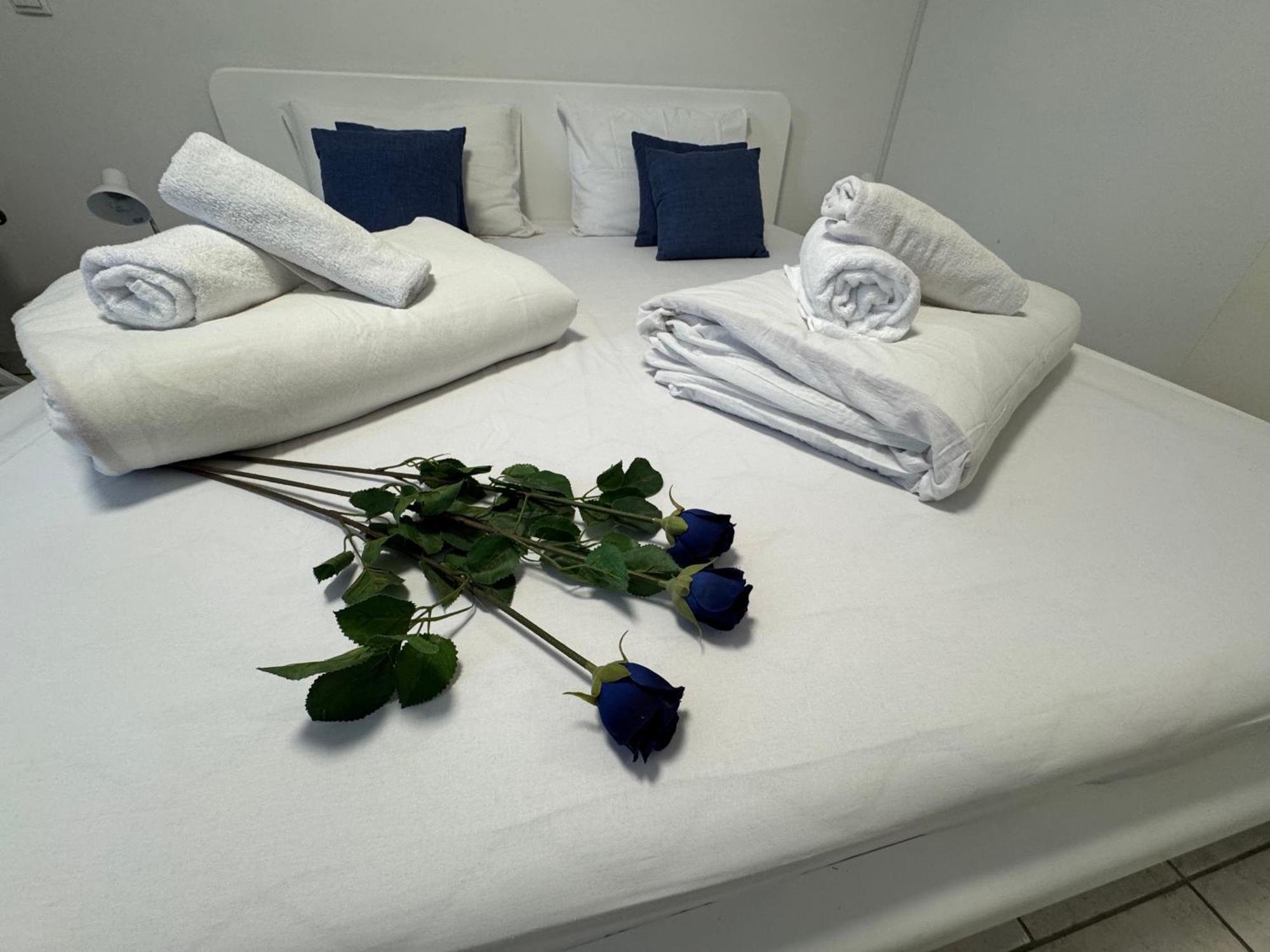 Anabella Apartment Izola Eksteriør bilde
